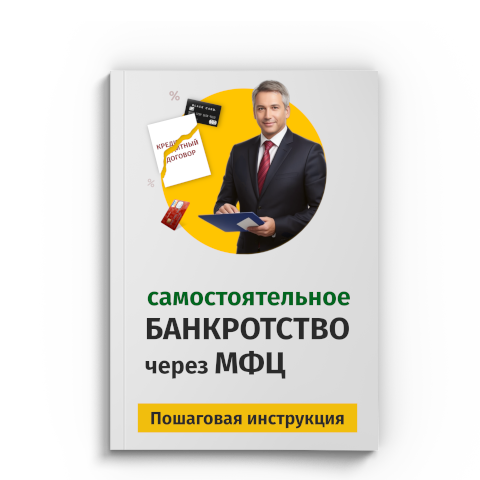 Пошаговая процедура банкротства через МФЦ в Ижевске